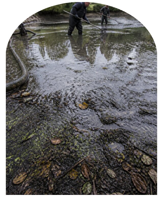 Очистка пруда в Светлограде от ила мусора и водорослей с вывозом